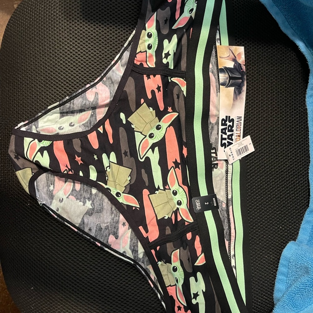 NWT the child panty torrid 3